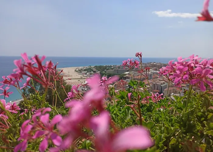 Velalatina Soverato - Scirocco 索威拉托玛里纳